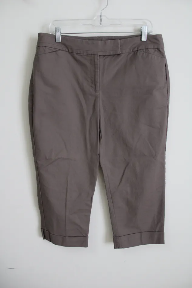 Ann Taylor LOFT Earrings Ann Taylor Curvy Brown Capri 12