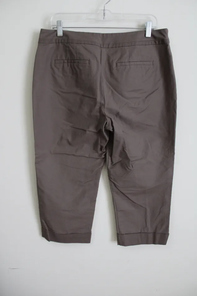 Ann Taylor LOFT Earrings Ann Taylor Curvy Brown Capri 12
