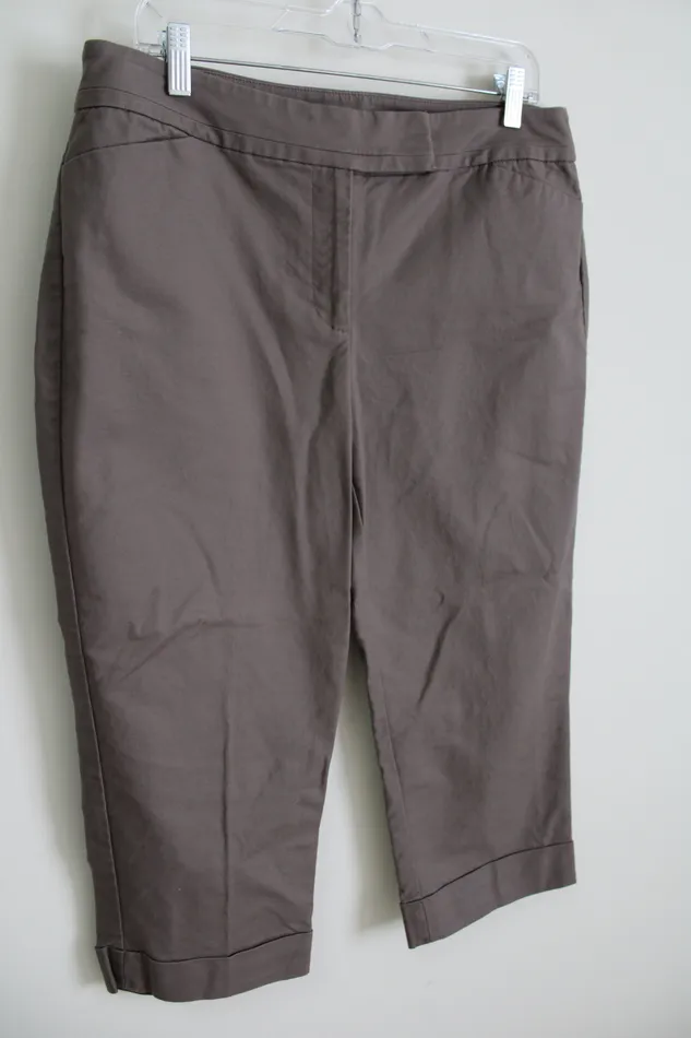 Ann Taylor LOFT Earrings Ann Taylor Curvy Brown Capri 12