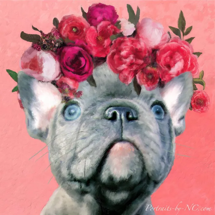 Blue English Bulldog Puppy Pet Portrait Portraits by NC Rings