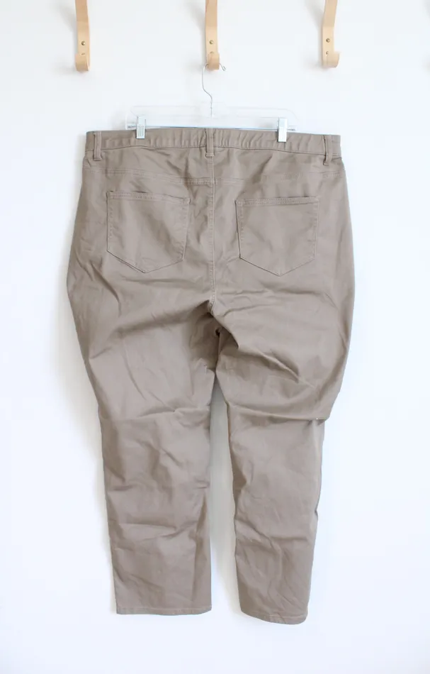 Catherines Catherines Sateen Stretch Brown Pants 22W Earrings