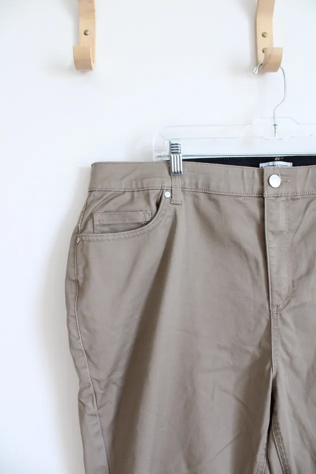 Catherines Catherines Sateen Stretch Brown Pants 22W Earrings