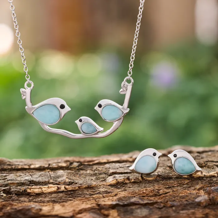 Chadds Ford Jewelry Earrings Larimar Birdie Gift Set