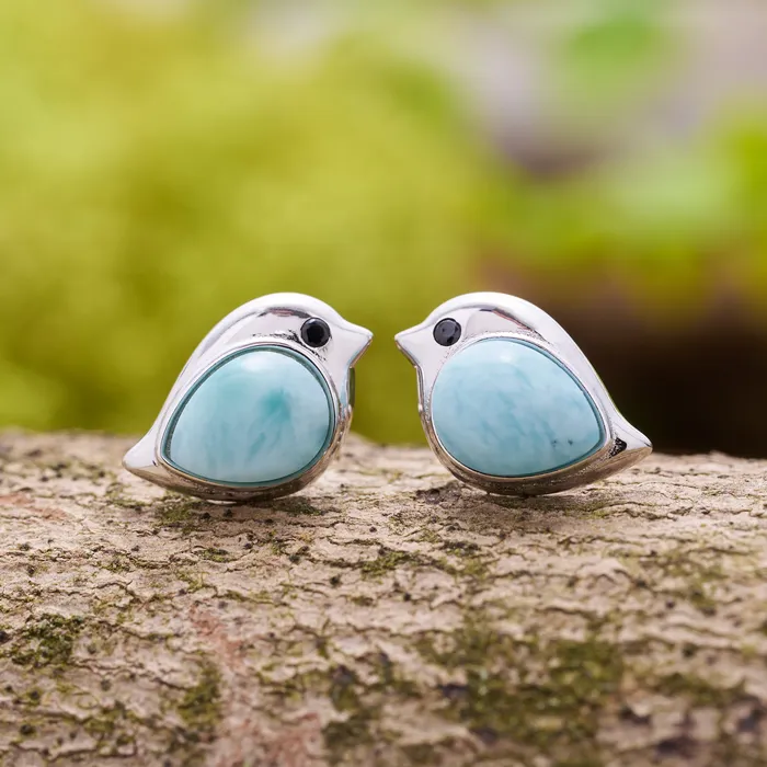 Chadds Ford Jewelry Earrings Larimar Birdie Gift Set