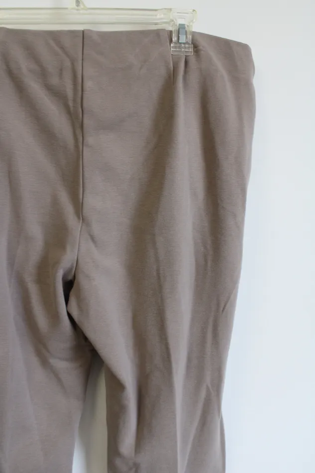 Chicos Earrings Chicos Tan Stretch Pant 3 XL16