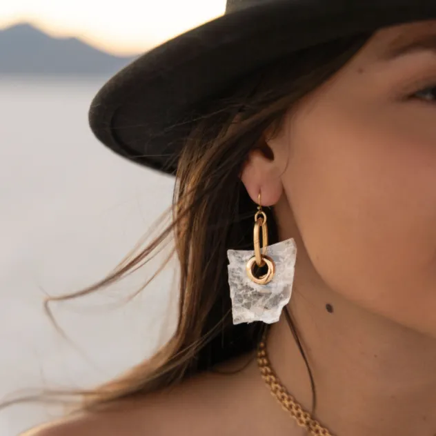 CLARITY Earrings Twisted Silver Earrings