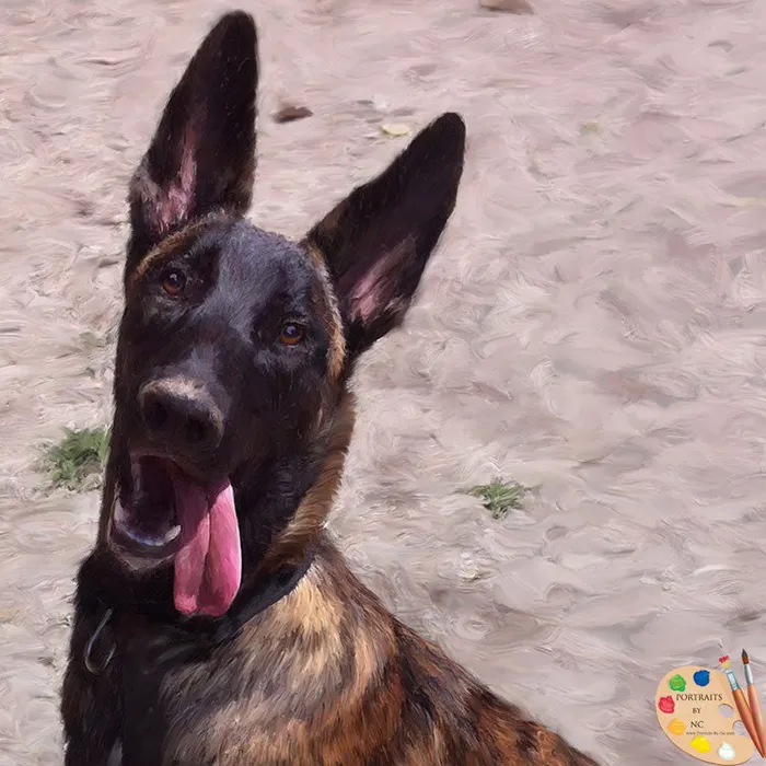 Dutch German Shepherd Digital Portrait Portraits by NC Earrings