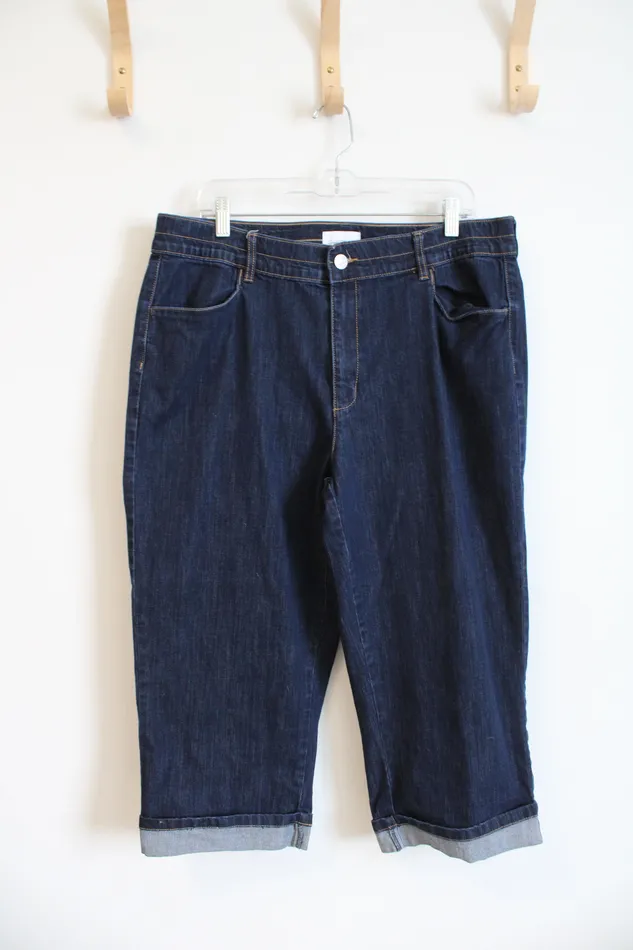 Earrings Jaclyn Smith Jaclyn Smith Dark Wash Cuffed Capri Jeans 18