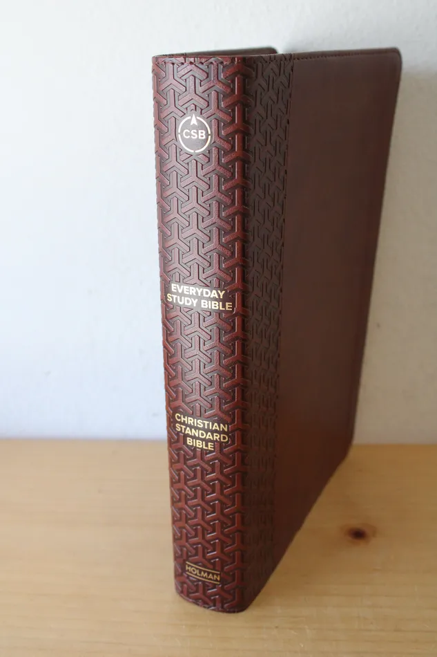 Earrings Jubilee Thrift Everyday Study Christian Standard Bible