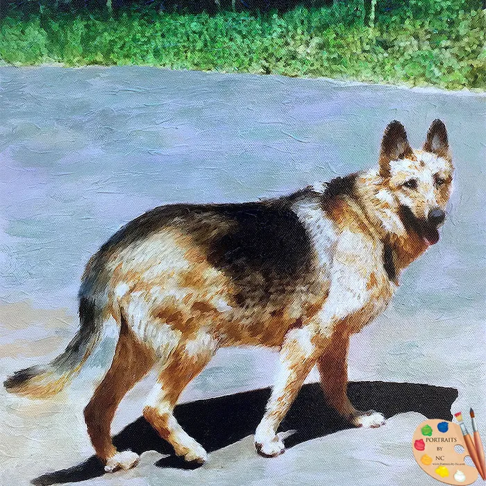 Earrings Portraits by NC German Shepherd Dog Portrait in Oil