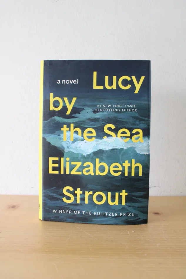 Jubilee Thrift Earrings Lucy By The Sea Novel By Elizabeth Strout
