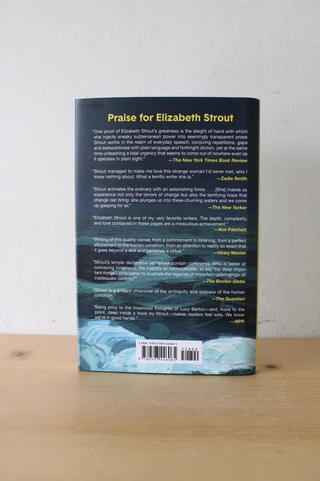 Jubilee Thrift Earrings Lucy By The Sea Novel By Elizabeth Strout