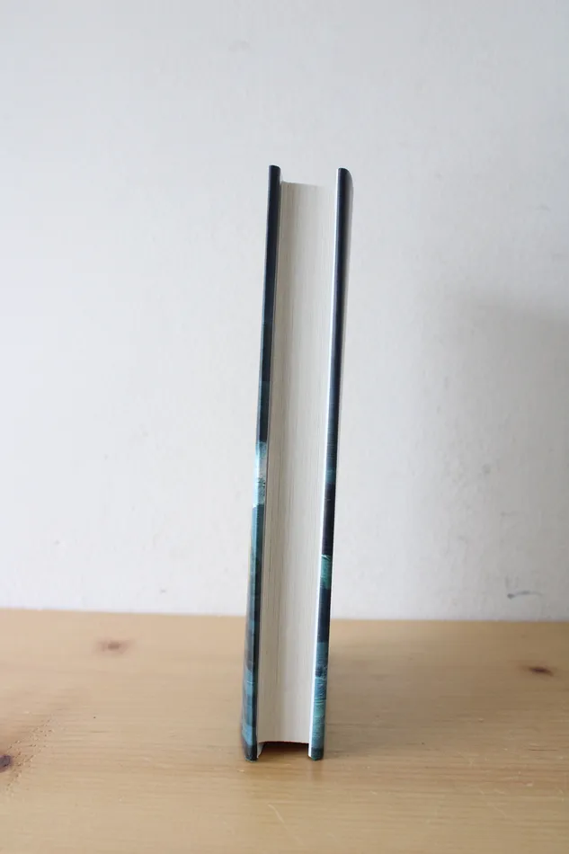 Jubilee Thrift Earrings Lucy By The Sea Novel By Elizabeth Strout