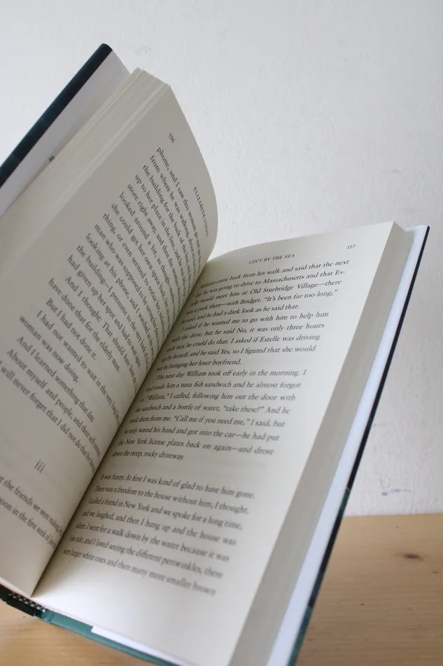 Jubilee Thrift Earrings Lucy By The Sea Novel By Elizabeth Strout