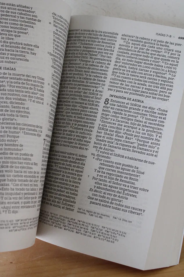 Jubilee Thrift Earrings Santa Biblia Letre Grande Nueva Biblia De Las Americas Spanish Bible