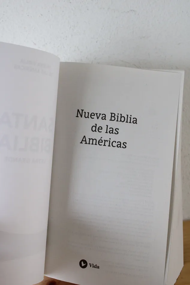 Jubilee Thrift Earrings Santa Biblia Letre Grande Nueva Biblia De Las Americas Spanish Bible