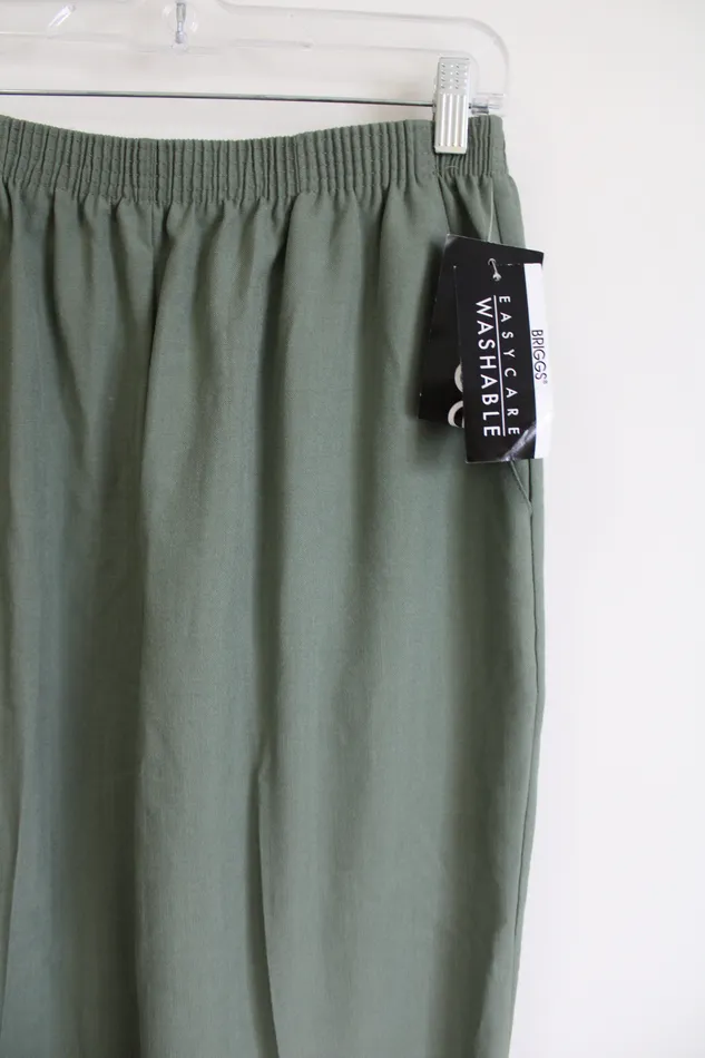 NEW Briggs Green Pant 14 Briggs New York Earrings