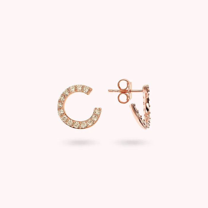 Orecchini a Lobo Semicerchio con Cubic Zirconia Bronzallure Earrings