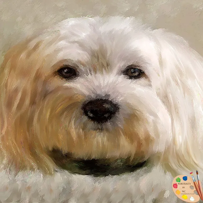 Portraits by NC Earrings Bichon Frise Dog Pet Portrait