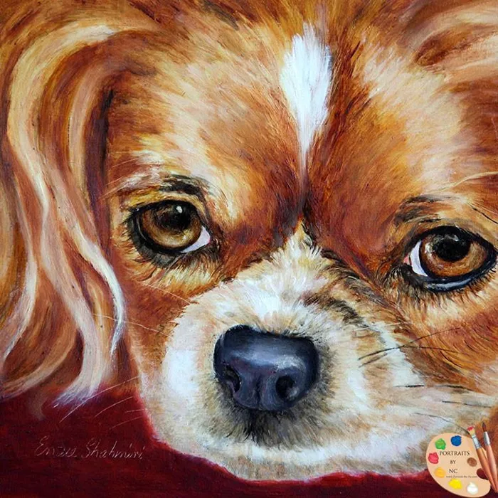 Portraits by NC Rings Cavalier King Charles Portrait