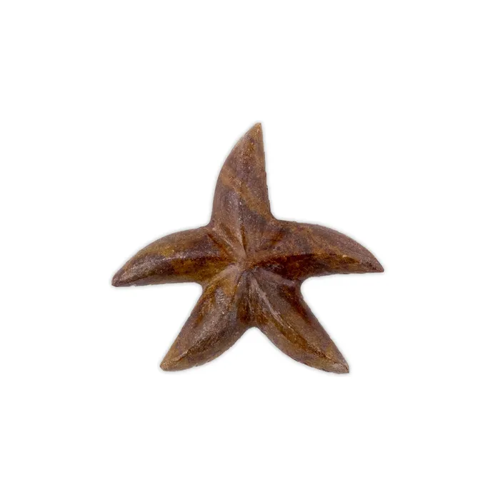 SSHANDCRAFTED Earrings Fig Starfish Marble 3in