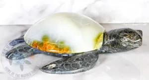 XL Marble Turtle SSHANDCRAFTED Earrings